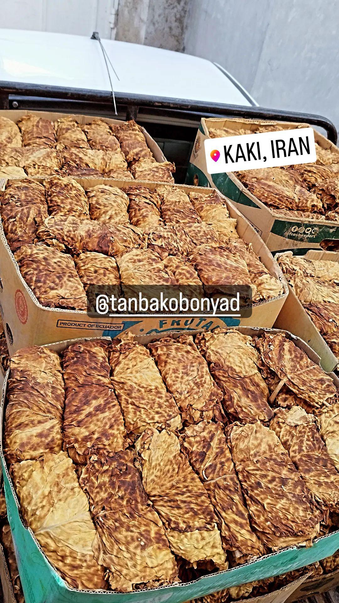 انواع خدمات